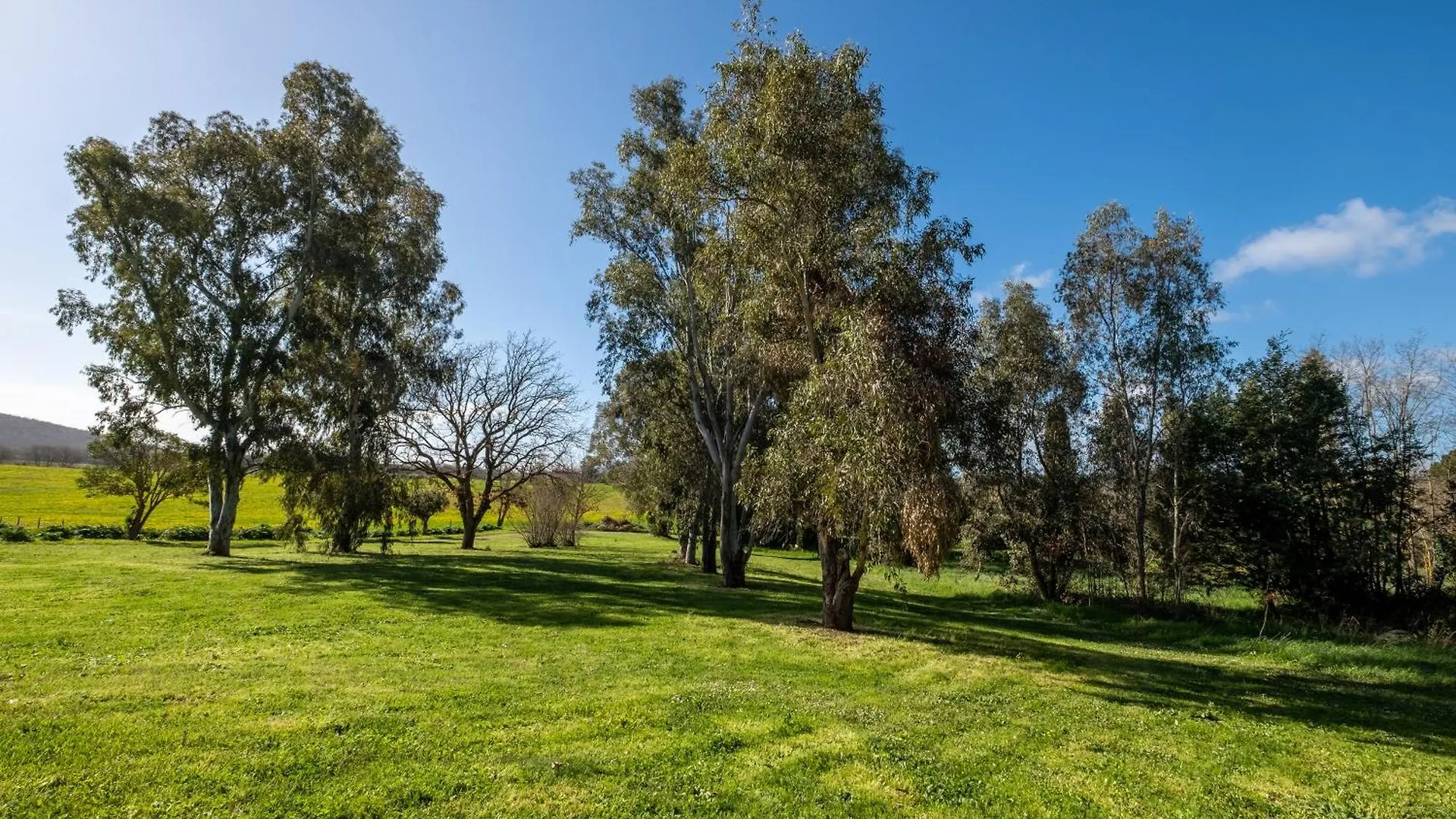 Farm stay Rosaspina - Appartamento 1 Capalbio